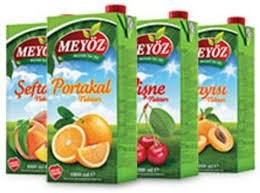 MEYÖZ 1LT MEYVE SUYU ÇEŞİT