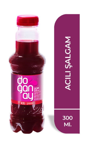 DOĞANAY TURNIP HOT 300 ML*24