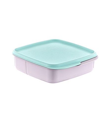 AK 540 SQUARE SEPARATED FEEDING CONTAINER * 1