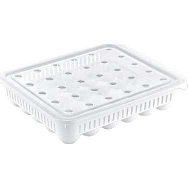 AK 681 EGG STORAGE CONTAINER 30 PCS * 1
