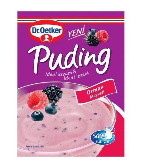 DR.OETKER PUDDING WITH FOREST FRUITS 81 GR*24