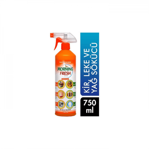 MORNING FRESH 750 ML DIRT & STAIN REMOVER *12