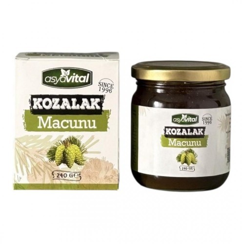 ASYA VITAL 240 GR PINE CONE PASTE*24