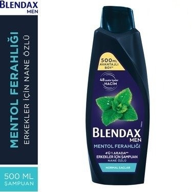 BLENDAX 500 ML SHAMPOO MENTHOL FRESHNESS FOR MEN*6