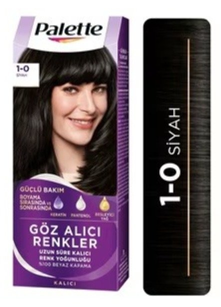 PALETTE ICC (1-0) BLACK *10