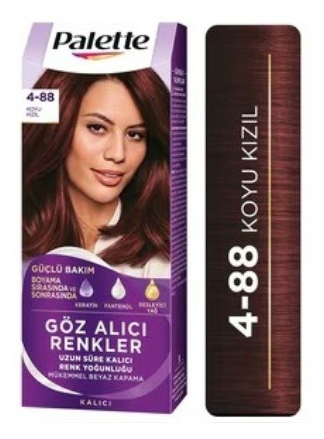 PALETTE ICC (4-88) DARK RED*10