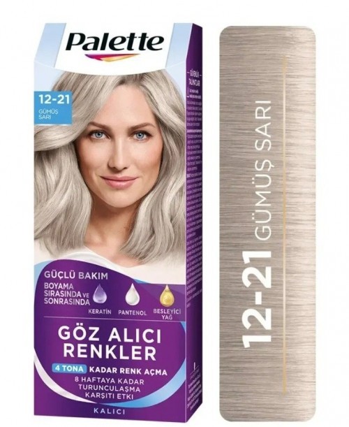 PALETTE ICC (12-21) SILVER YELLOW*10