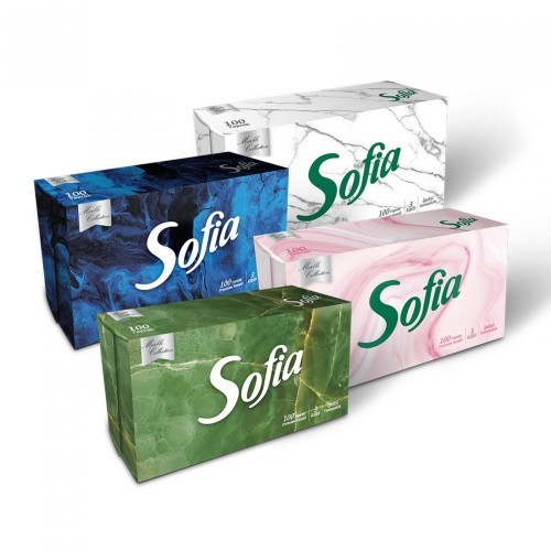 SOFIA BOXED TISSUES 100 PIECES * 24