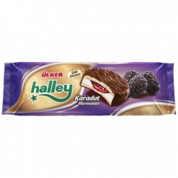 ULKER HALLEY BLUEBERRY 230GR 1X12