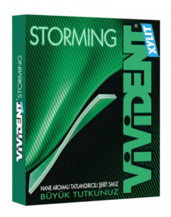 VIVIDENT STORMİNG MINT*18