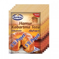 KENTON EMBOSSING POWDER 5 PCS * 30