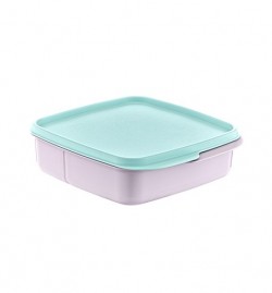 AK 540 SQUARE SEPARATED FEEDING CONTAINER * 1