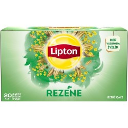 LIPTON CUP BAG FENNEL 20 PCS *12