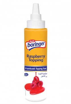 KENT BORİNGER 300 GR TOPPING SOS FRAMB.SİLİNDİR*12