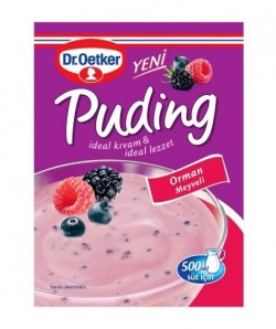 DR.OETKER PUDDING WITH FOREST FRUITS 81 GR*24