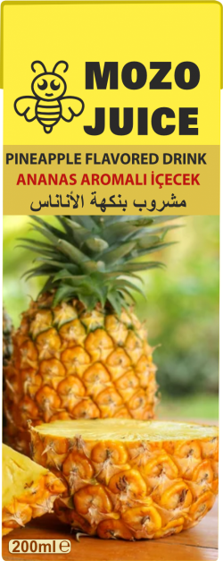 MOZO JUICE 200 ML FRUIT JUICE PINEAPPLE*27