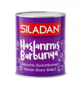SILADAN 800 GR TIN KİDNEY BEANS*12