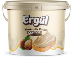ERGÜL 5KG HAZELNUT CREAM WITH CROQUETTS*1