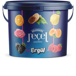 ERGÜL 5 KG BLACKBERRY BUCKET JAM*1
