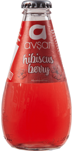 AVŞAR FRUIT SODA 200 ML HIBISKUS*24