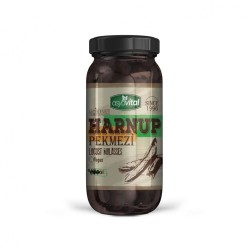 ASYA VITAL 640 GR CAROB MOLASSES*12