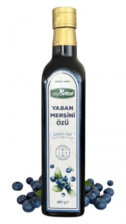 ASYA VITAL 680 GR BLUEBERRY FRUIT EXTRACT*12