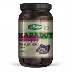ASYA VITAL 800 GR BLACK MULBERRY MOLASSES*12