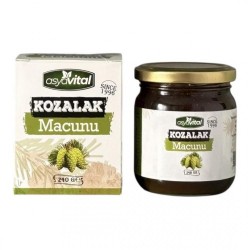 ASYA VITAL 240 GR PINE CONE PASTE*24