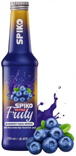 SPİKO FRUITY 250 ML BLUEBERRIES*24