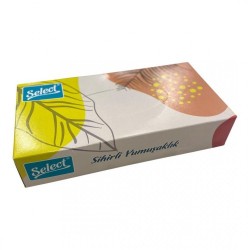 SELECT BOX WIPES 80 PCS *24