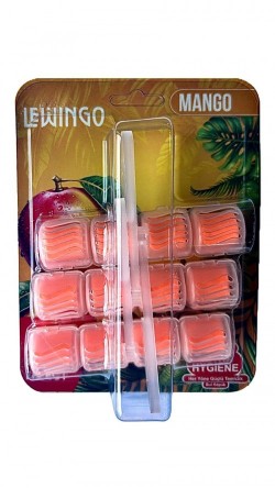 LEWİNGO WC BLOCK 3 PIECE TOP MANGO*8