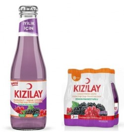 KIZILAY 200 ML BLACK MULBERRY GRAPE *24