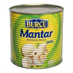 BURCU 2.600 GR MUSHROOM (WHOLE)*6